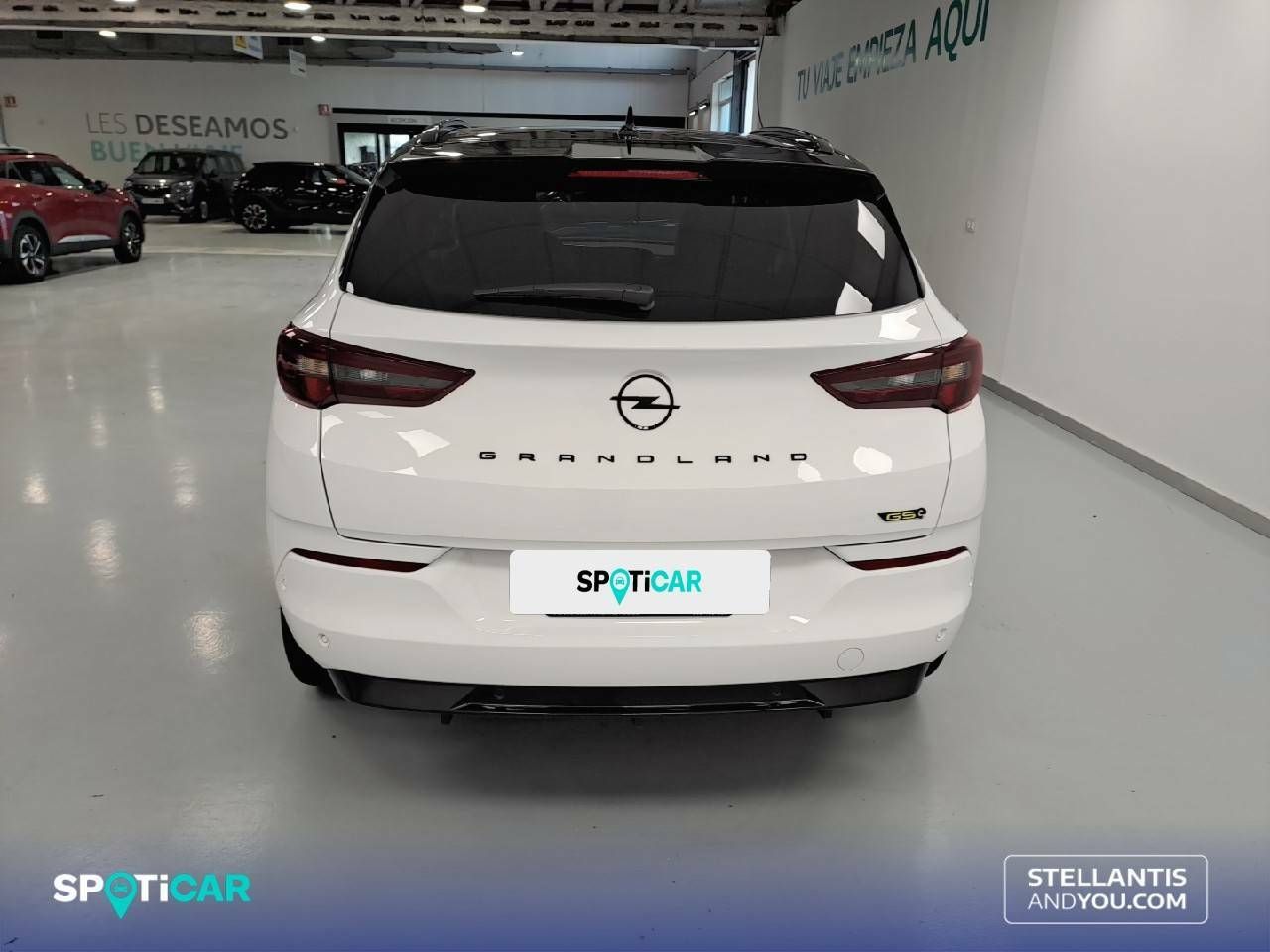 Foto Opel Grandland X 5