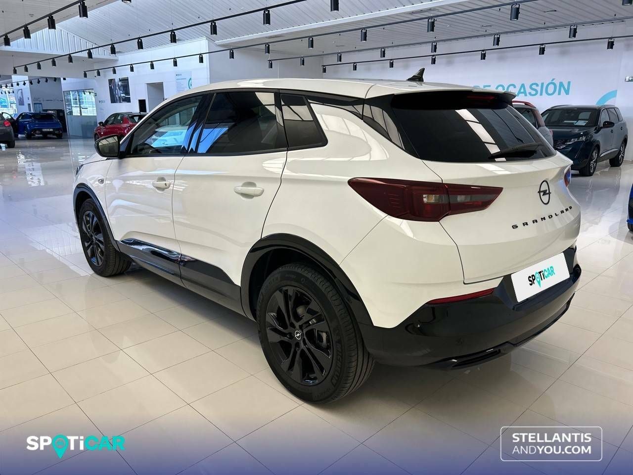 Foto Opel Grandland X 7