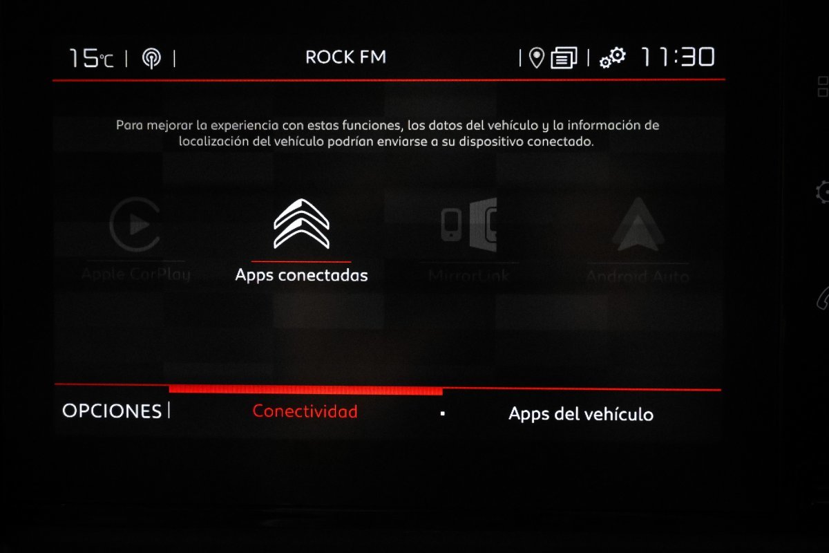 Foto Citroën Berlingo 15