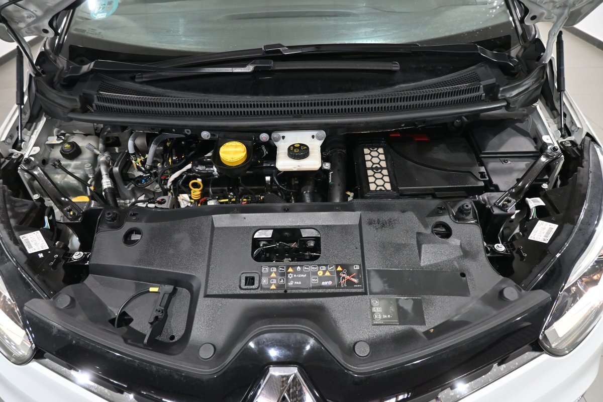 Foto Renault Scénic 7