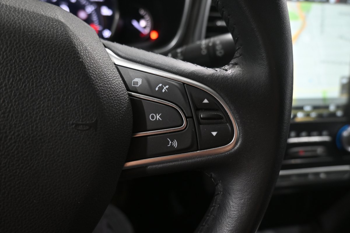 Foto Renault Mégane 24