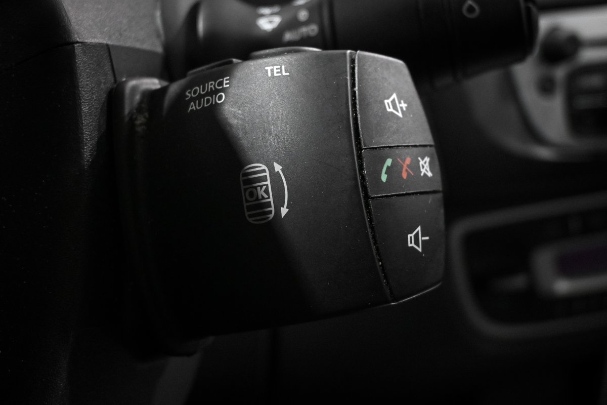 Foto Renault Scénic 25