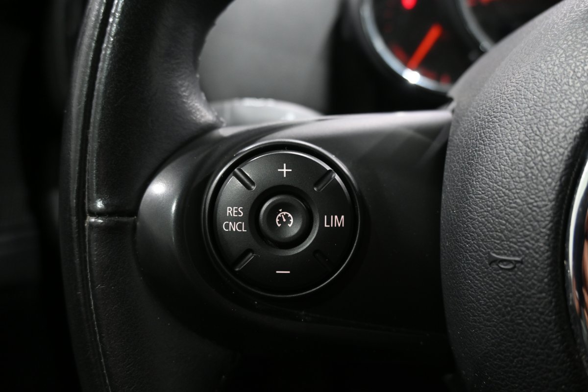 Foto Mini Countryman 19