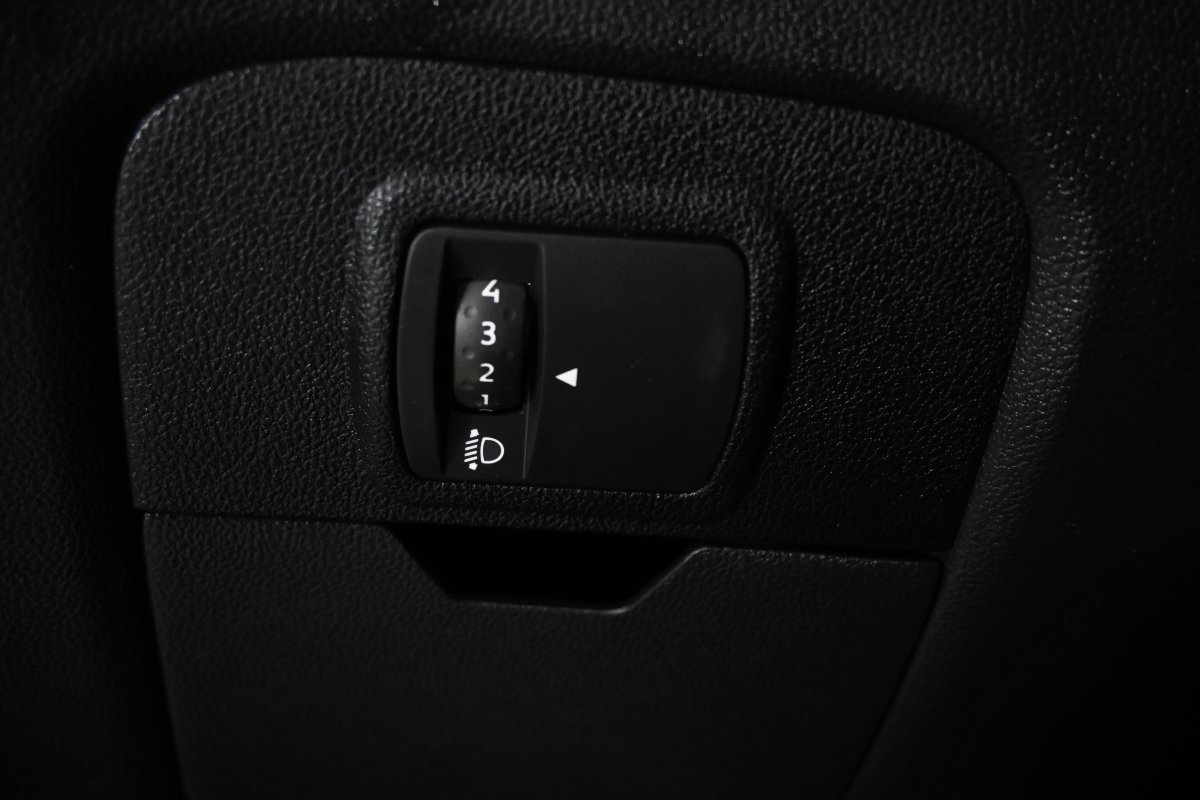 Foto Renault Scénic 29