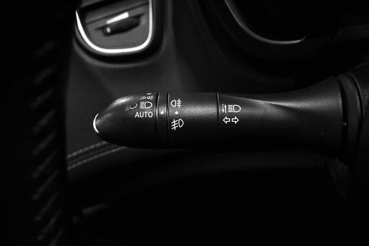 Foto Renault Scénic 20