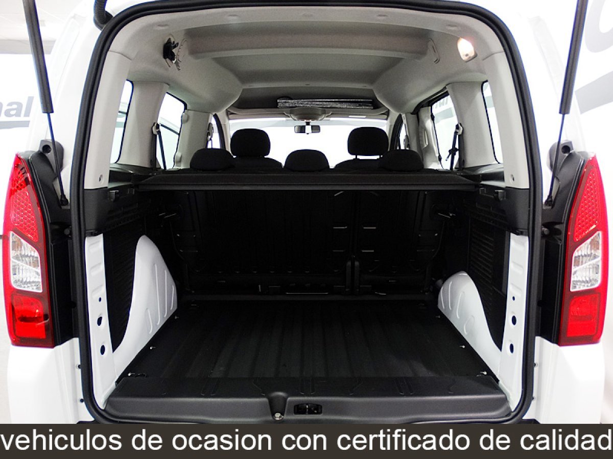 Foto Citroën Berlingo 15