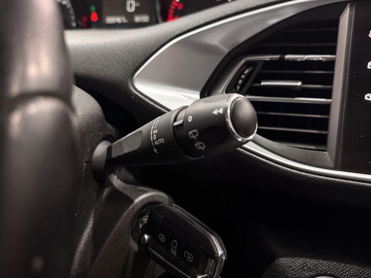 Foto Peugeot 308 SW 24