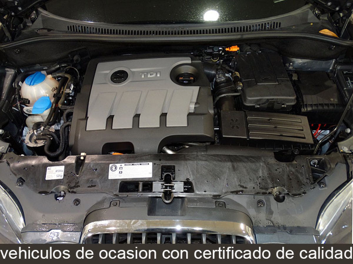 Foto Seat Altea XL 7