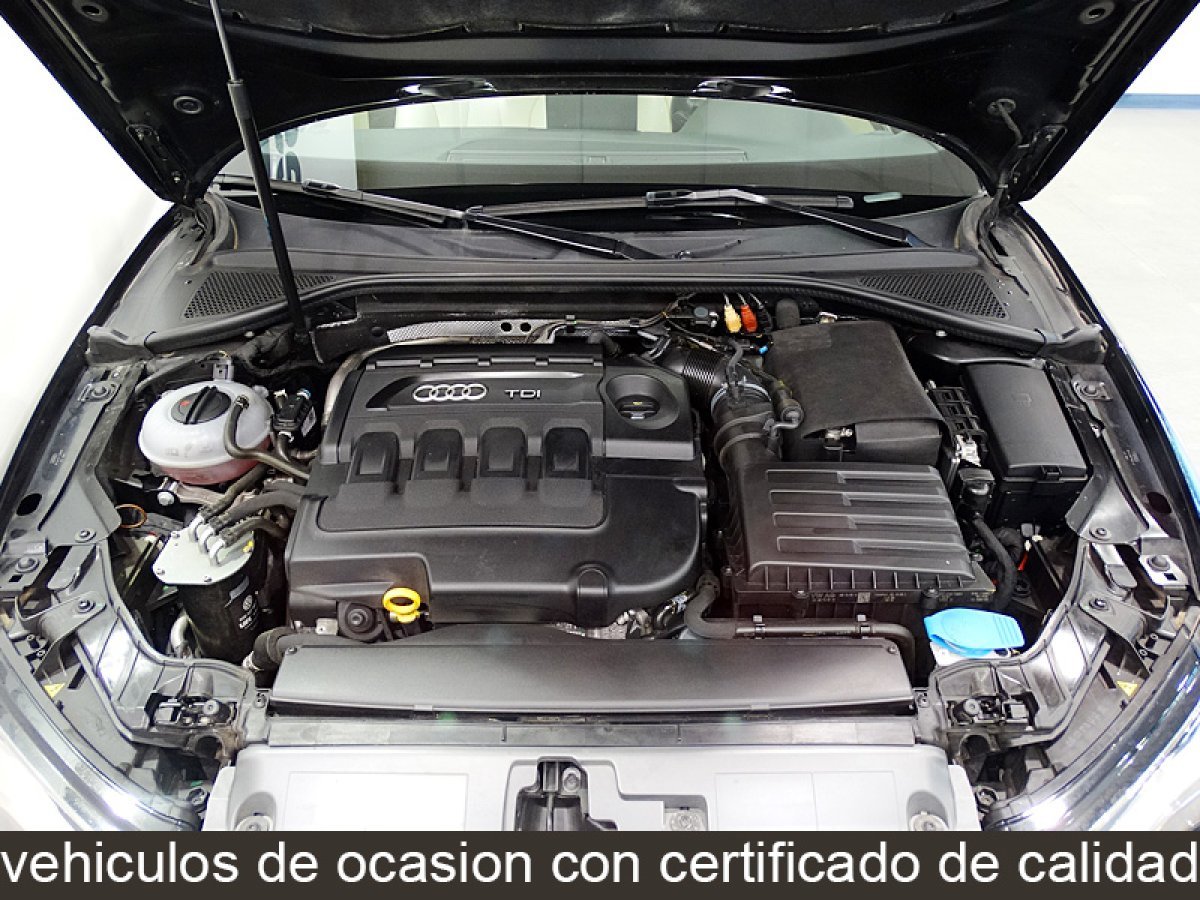 Foto Audi A3 Cabrio 17